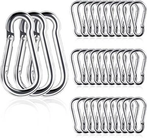 30 Pcs Stainless Steel Spring Snap Carabiner Hooks for Plants Pets Tags Flag - Picture 1 of 3