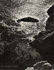 1960S Vintage Edward Weston Rock Kelp Pacific Ocean Landscape Photo Art 12X16