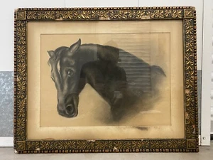 🔥 Fine Antique Old West 19th c. American Folk Art Black HORSE Portrait Painting - Picture 1 of 20