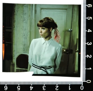 Elsa Martinelli Original 2,25x2,25 Color Transparent Leggy Portrait Foto 1967 - Bild 1 von 1