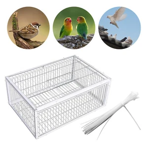 Pigeon Trap Cage Escape Proof Single Way Entry Door Bird Trap Cage 40x30x26cm - Picture 1 of 11