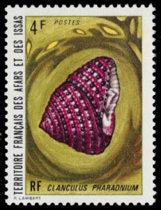 AFARS et ISSAS 358 - Cáscara superior de fresa "Clanculus pharaonium" (pb59062) - Imagen 1 de 1