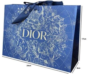 Christian Dior Gift Bag (L)24cm x (H)17cm x (D)8cm - Picture 1 of 3