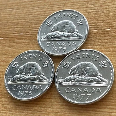 Royal Canadian Mint Canadian Nickel Beaver Coins (3 pieces) Canada - Image 1 of 4