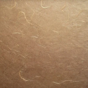 10 67X47cm sheets FINE MULBERRY TISSUE 25gsm BROWN strawsilk UNRYO acid free - Picture 1 of 1