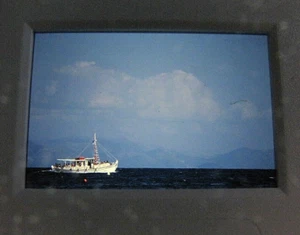 Vintage Slide Film Photograph Germany Bootsfahrten Boat Tour Trip - Picture 1 of 2