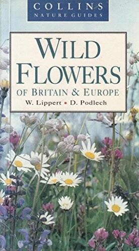Wild Flowers of Britain and Europe - Paperback By Lippert, Wolfgang - VERY GOOD Foto 1 de 1