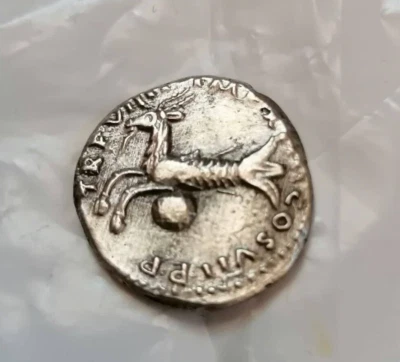 TITUS AD79-81 Denario Foto 1 de 2