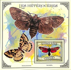 A8886 - TOGO - ERROR MALPERF Hoja de sello - 2021 INSECTOS Mariposas - Imagen 1 de 1