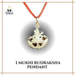 Premium 1 Mukhi Rudraksha Shiva Pendant- Silver Metal cap - Picture 1 of 3