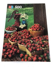 MB Coventry 500 Piece Puzzle Strawberries New