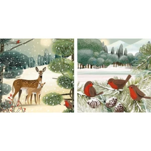 10 Christmas Cards and Envelopes - Robins and Deer - 5 Each of 2 Designs - Picture 1 of 1
