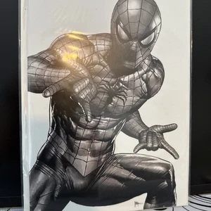 Arris Ultimate Spider-Man 17 Whiteout Mico Suayan Dallas Fan Expo Secret Drop - Foto 1 di 8