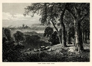 Vista da West Park Philly, scena storica americana 1874, antica incisione su legno - Foto 1 di 4