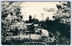 1910's SEABOARD AIR LINE RAILWAY SOUTHERN PINES NC DOGWOODS ANTIQUE POSTCARD - Picture 1 of 2
