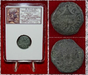 Moneda Antigua Judea Prutah HERODES AGRIPA I Jerusalén Casa de la Moneda Nombrada por Calígula - Imagen 1 de 4