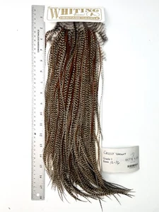 Whiting Farms Heritage Hackle Rooster Sattel - Grizzly Variante - Klasse 1 (#14) - Bild 1 von 1