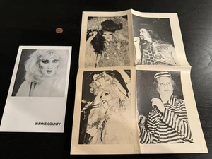 Poster promozionale vintage Wayne County + teste parlanti - Foto 1 di 2