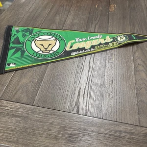 Pennant vintage in feltro da baseball Kane County Cougars MiLB.  29". 2004 - Foto 1 di 7