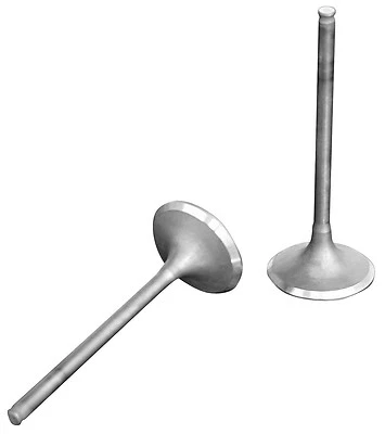 Juego de válvulas de motor Shindy Honda TRX250X (1987-1992) TRX300EX (1993-2008)  Foto 1 de 2