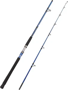 2-Piece Saltwater Spinning Fishing Rod Offshore Assorted Colors Outdoor Sports - Picture 1 of 6