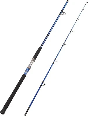 2-Piece Saltwater Spinning Fishing Rod Offshore Assorted Colors Outdoor Sports - Image 1 of 4