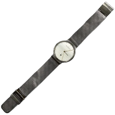 Reloj Pulsera De Colección Skagen 355LGSC Dinamarca Fecha Cepillado Para Hombre Cuarzo Japón Acero Foto 1 de 4
