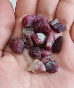 10 Pieces, 7-12 mm Natural Multi Tourmaline Rough Gemstone/RJS-274 - Picture 1 of 10