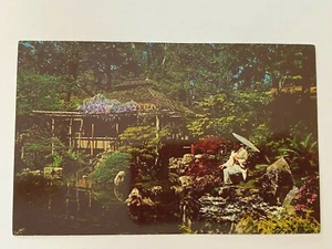 1950's Post Card Chrome UNPOSTED San Francisco CA Japanese Tea Garden - Picture 1 of 2