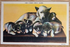 Postal Husky Dog Family Alaska PC 1940 CP Johnston Sin Usar - Imagen 1 de 1