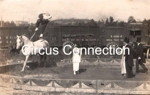 C1910's - Ringling Bros Circus Poodles Hanneford Performing On Horse RPPC - AAFN - Picture 1 of 3