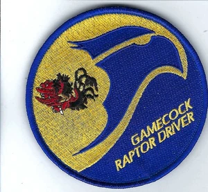 PATCH USAF 19TH FIGHTER FS GAMECOCK RAPTOR DRIVER F-22 HICKAM/PH AFB FS-26 - Bild 1 von 1
