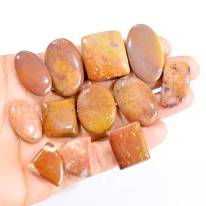 Lote de 12 piedras preciosas cabujón jaspe cuadro natural 23x18-39x21 mm #2844 356 quilates - Imagen 1 de 4