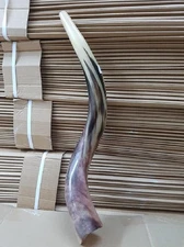 Natual Judaica Kosher 20-24 Pulgadas Yemenita Kudu Shofar Cuerno Israel Full Pulished