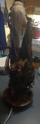 Tree/deerskull Lamp - Image 1 of 2