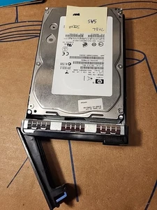 HP HARD DISK 300 GB 15K ST3300657SS SAS HARD DISK 3,5" HUS156030VLS600 0B24512 - Foto 1 di 5