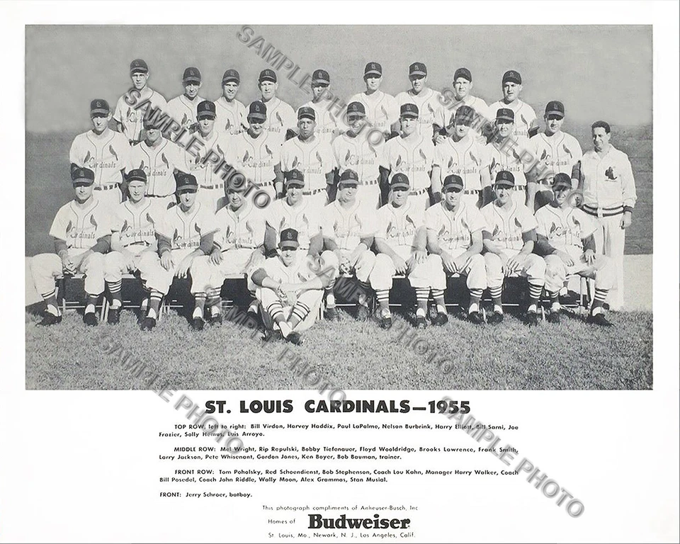 Foto del equipo de béisbol 1955 St. Louis Cardinals 8x10 Foto 1 de 1