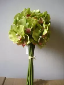 Gebundenes Konvolut/Strauß x10 Stiele Orchideen Seidenblumen limettengrün 12 Zoll - Bild 1 von 2
