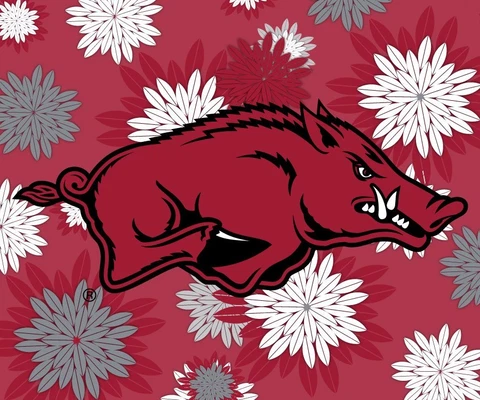 ARKANSAS 5" X 6" FLORAL MAGNET-ARKANSAS RAZORBACKS CAR MAGNET-NEW FOR 2016 Cover