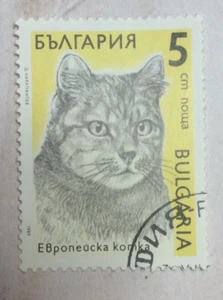 Estampilla de gato de Bulgaria 1989 5 cm nowa - Imagen 1 de 2