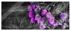 Beau Fleurs de Trèfle Sur Table en Bois Panorama Photo , Incl. Support Mural