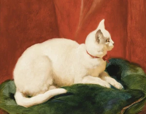 John Frederick Herring Sr A White Cat Canvas Print 16 x 20      #3497 - Picture 1 of 4