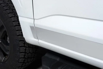Putco 9751473 Stainless Steel Rocker Panel Fits Ford F-150 Super Crew Cab 5.5 ft Foto 1 de 4