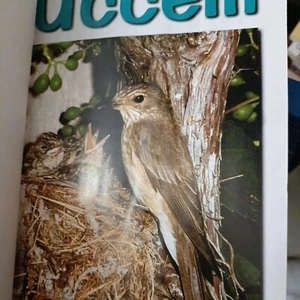Rivista ornitologia uccelli anno 2002 - Bild 1 von 6