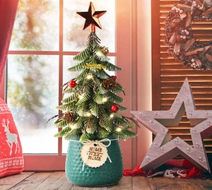 Small Christmas Tree Tabletop Christmas Tree Christmas Indoor Decorations with - Picture 1 of 6