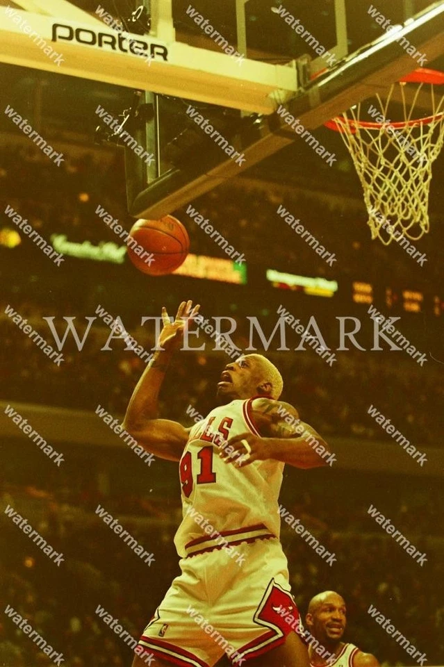 Foto ES575 Dennis Rodman Chicago Bulls 8x10 11x14 16x20 Foto 1 de 1
