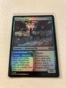 Tempest Hart Foil Wilds Of Eldraine WOE MTG Magic Pack Fresh - Picture 1 of 1