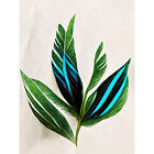 Tropical Feathery Leaves Simple Botanical XL Wall Art Canvas Poster Print Huge