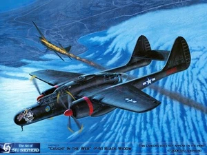 KUNSTDRUCK: P-61 Black Widow - Druck von Shepherd - Bild 1 von 1