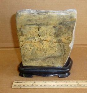 Cuadro chino jaspe pintura piedra limos dendríticos piedra de visualización Suiseki - Imagen 1 de 5